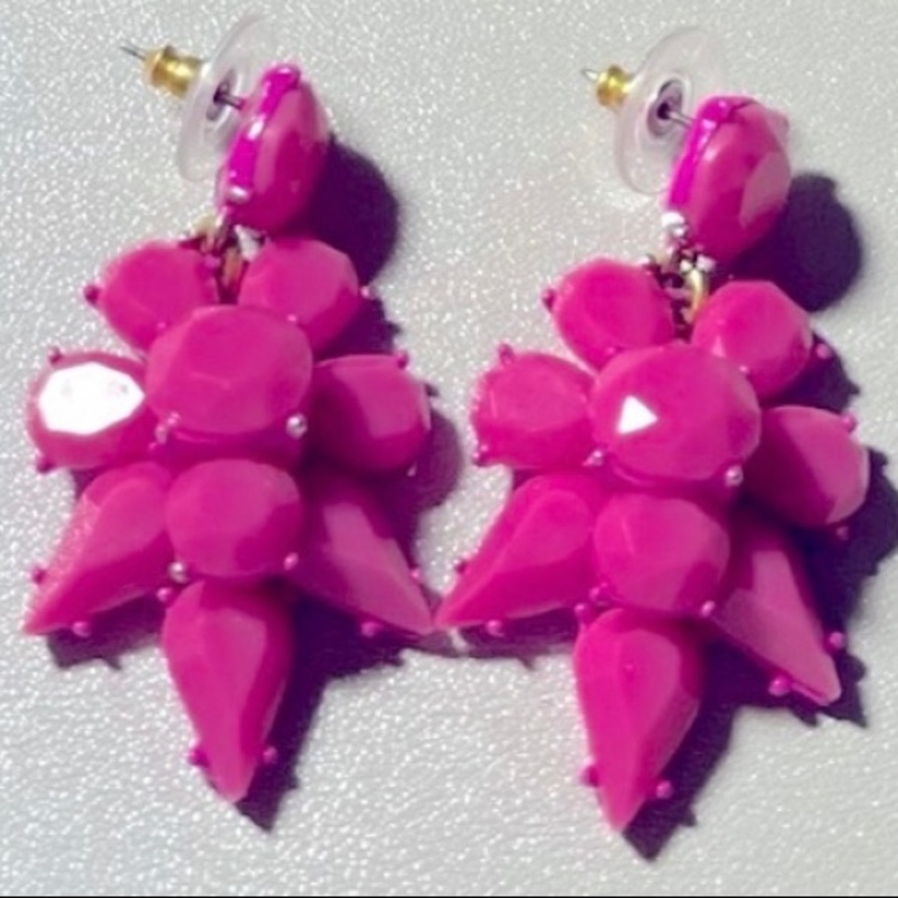 J Crew Earrings